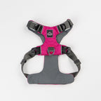 Everyday Adventure Dog Harness