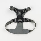Everyday Adventure Dog Harness
