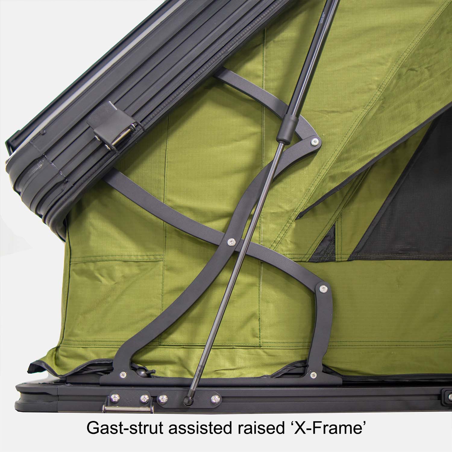 Armadillo AX3 Roof Top Tent