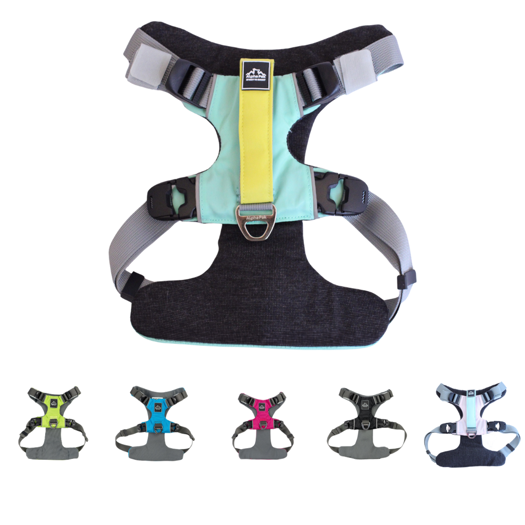 Everyday Adventure Dog Harness